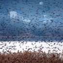 땅끝해남관광안내소 이미지