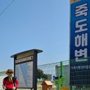 기사문항 화장실 이미지