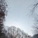 수리산 이미지