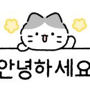 삼삼사 이미지