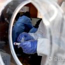 Ba체육관 이미지