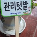 우드앤사인 이미지