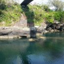 영산선학대학교 이미지