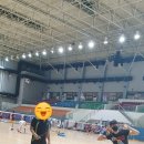 전주실내배드민턴장 이미지