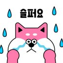 삼손태권도 이미지