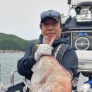 수족관A/S전문 이미지
