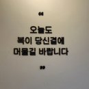 카페마실애 | 전포신상카페 귀여운 떡 디저트와 복기차가 있는 따뜻한 복마실애