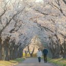 봄요양병원 이미지