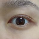 태평역 2번출구 | 태평역 스튜디오가든에서 케라틴 속눈썹펌 받은 후기