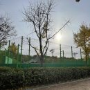 장평근린공원 이미지