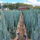 초입농장 이미지