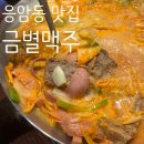 하나로13길 | 🫕금별맥주 응암오거리점ㅣ모둠 소시지 부대찌개+라면사리 응암동 맛집 후기