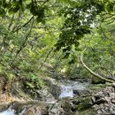 대운산계곡펜션 이미지