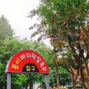 일산칼국수 - 고양시 일산동구 백석로108번길 6-16 | 일산칼국수
