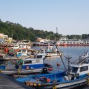 통영 욕지도 천황봉(統營 欲知島 天皇峰). 거북이가 목욕하는 모양의 섬(島) 욕지도 천황봉에서 바다를...