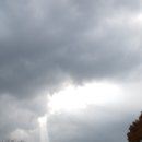 맥도주유소 이미지