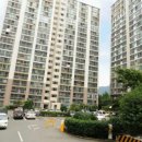 사파동203 이미지