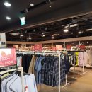 신세계강남톰브라운