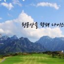 나이스투어 앤 골프