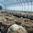 청도비닐 이미지