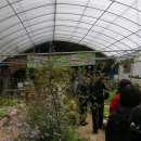 성심부동산