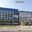 명품 게임랜드 이미지