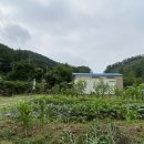 서종약국 네이버블로그