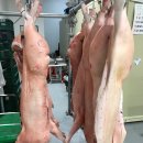 황우축산 이미지