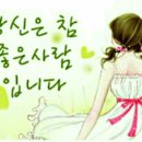 백송이 이미지