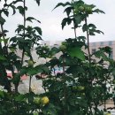 석수역_하 이미지