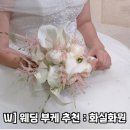 벨라화원