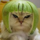 예뻐라 이미지