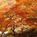 제380차 정기.18주년 창립 산행 화순 모후산 산행 공지 이미지