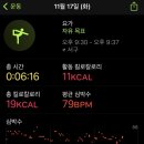 티그레 이미지