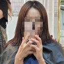 파보헤어 이미지