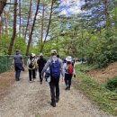 외씨버선길(영양연결구간) 이미지