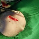 래플즈동물병원 이미지