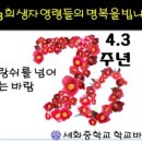 세화중학교 이미지