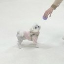 이매역3번출구 이미지