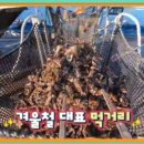 굴자랑식당 네이버블로그