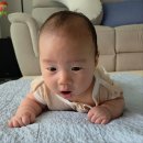 동영침대 | 육아일기 76-80일 | 9시간 통잠😴, 아기 다래끼 처방, 뒤집기시도?, 남편 출산휴가 끝, 증조할머니...