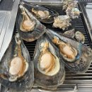 황금조개 튼튼장어 이미지