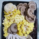 여울농산 이미지