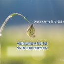 ★ 오늘의 좋은 글 ★ 이미지