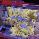 짱인형shop 이미지