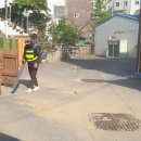 금신초교(병설) 이미지