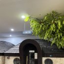 하이렉스파 이미지