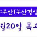 영진공인중개사 이미지