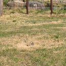 현진2농장 이미지