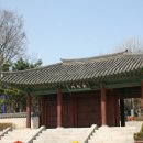H9151 Daum카페
